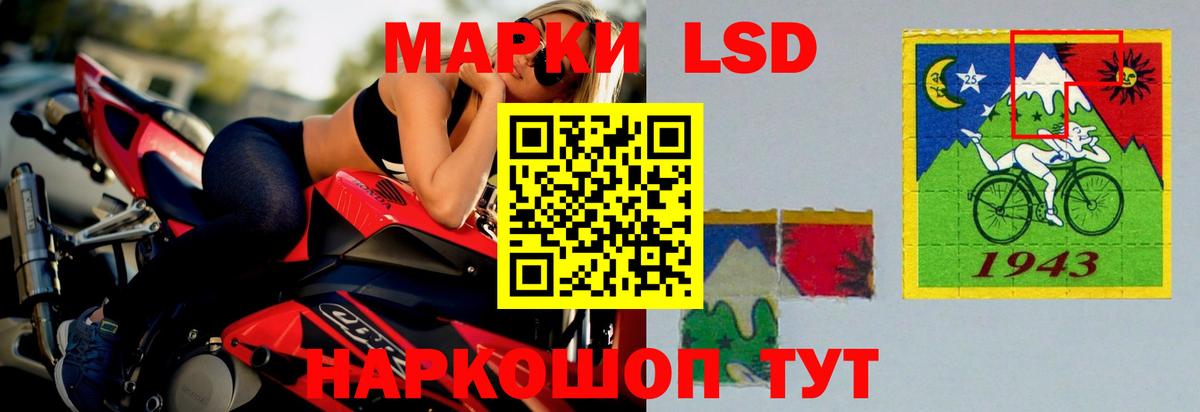 ЛСД экстази ecstasy  Вход с VPN  Новодвинск  Лсд 25 экстази ecstasy 