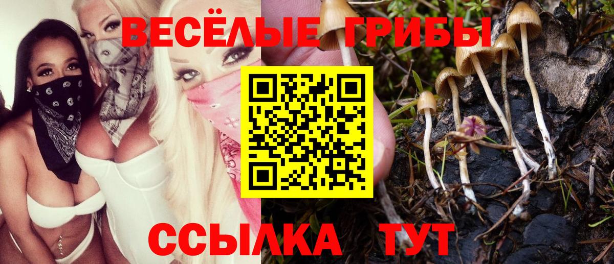 Галлюциногенные грибы Magic Shrooms  Псилоцибиновые грибы GOLDEN TEACHER  Новодвинск  Вход с VPN 